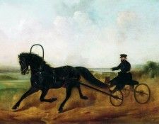 Кучер. 1850. Сверчков Николай Егорович (1817-1898)