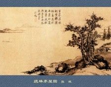 Professor CSA Print Zhang Guan 140. ���� ����