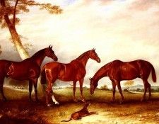 Ferneley John Marvel  Kingfisher And The Lad. Ferneley, ����