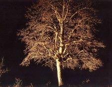 Charles Gurche - Dixie National Forrest UT, De. Gurche, 