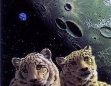 Lair of the Snow Leopard. Schimmel, ������