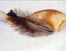 img981. OKeeeffe, 