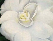 32347. OKeeeffe, ������