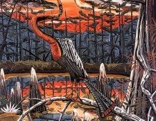 bs- David Bates- Anhinga. , 