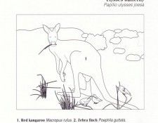 Oz AGls020 Ego Guiotto Red Kangaroo Painting Key. Guiotto, ���