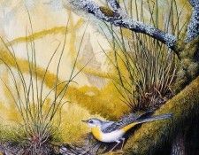 Twinney Dick Nature 030 Sun. Twinney, ���