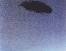 lrsSowaMichael BigBuzzer. ����, ������