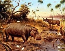 Koekkoek MA Nature 5 Sun . Koekkoek, Adrianus ������