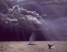 lrs Isaac Terry Pac Patterns. �����, �����