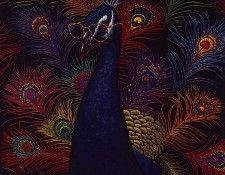 lrs Ellis Jonn Myopic Peacock. �����, Jonn