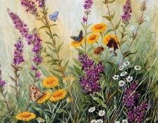 Twinney Dick Nature 051 Sun. Twinney, ���