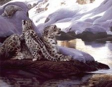 lrs Isaac Terry Watchful Eye. �����, �����