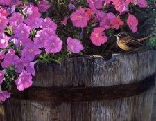 Terry Isaac - Southern Comfort, De. , 