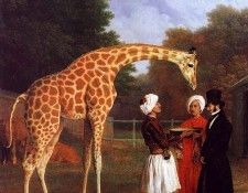 Agasse Jacques Laurent The Nubian Giraffe. Agasse, -