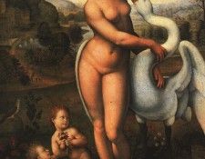 Leda EUR. �����, �������� ��