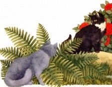 Naylor, Kathryn - Cat Park 05 (end. , 
