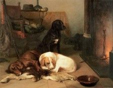 Cunaeus Conradyn In front of the hearth Sun. ������, Conradyn