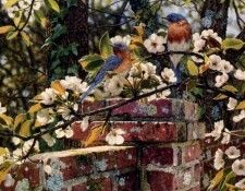 Jay Kemp - Backyard Blues, De. , 
