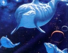 schimmel dolphinjourney. Schimmel, 