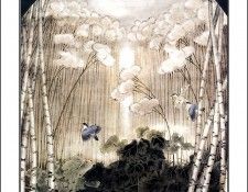 CSCU aping 2k3 wang ke yin 042. ��� ��� ��