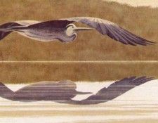 Alex Colville - Heron, De. �������, �����