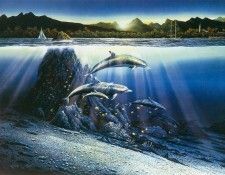 kb Nelson RL Kona Dawn. �������, ������ ���