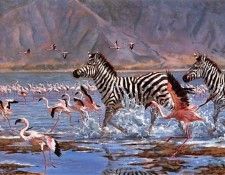 Rogers, Julia - Splash of Pink (end. ,  Noffsinger