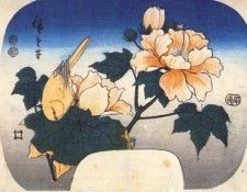 hiroshige yellow bird and cotton rose 1852. ��������