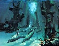 JLM-John Pitre-Atlantis Dolphins. , 