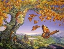 butterfly tree. , 