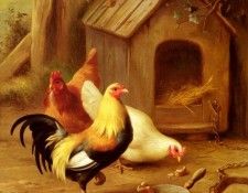 Hunt Edgar Chickens Feeding. , 
