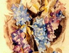 demuth delphinium 1918. , 