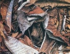 art 692. , 