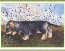 CookBeryl i10 Dogs 2-WeaSDC. ���, Beryl