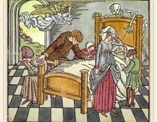 Dillon Season12 sj. ������, �����