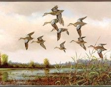 GrommeOwen-EarlyBlueWings (sj-art333). Gromme, ���� J