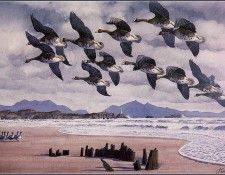 43632. Tunnicliffe, ������