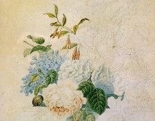 Knip Henrietta Study of a flower still life Sun. Knip, ���������