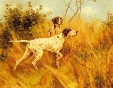 Blinks Thomas Two Pointers In A Landscape. ������, �����