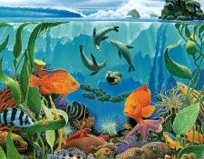 kb Bragg CL California Roll. �����, ������ ����