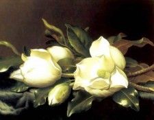 martin johnson heade(1894)-fl art csg029. ����, ������ �������
