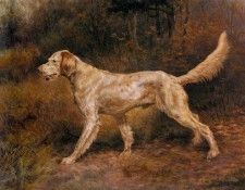 Osthaus Edmund Henry Commissioner A Champion English Setter. Osthaus,  