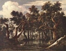 RUISDAEL Jacob Isaackszon van The Marsh In A Forest. ,  