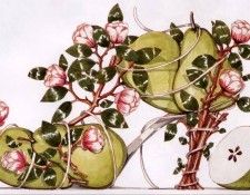 Dennis Kyte - Pears, De. , 