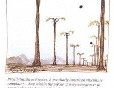 bs GOR 91 Prohibitinisticus Erectus. , 