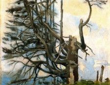 37514. ������, ���������