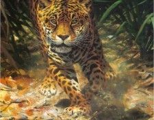 JohnSeereyLester IntoTheClearing ec. Seerey-������� ����