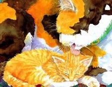 Time For Bed Tb 0004 Little Cat JaneDyer sqs. �����, �����