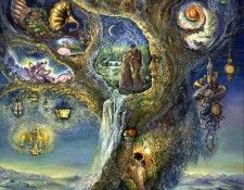 tree wonders. , 