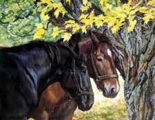 horses in the mist csg009 the shade tree. Плотин, Пэрис Клейтон